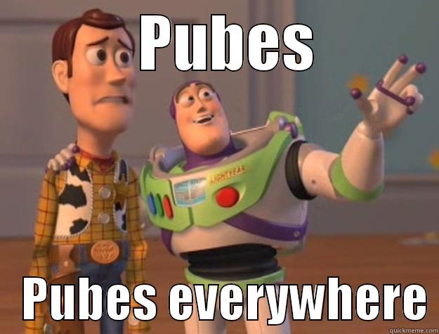   PUBES    PUBES EVERYWHERE Toy Story