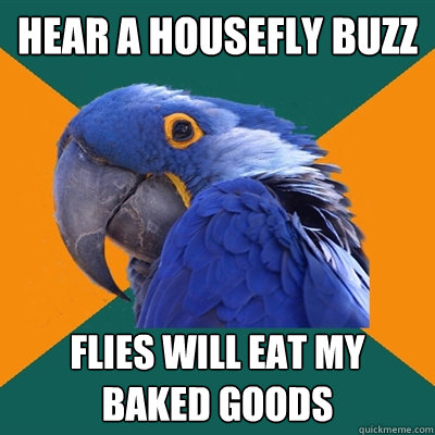 hear a housefly buzz flies will eat my baked goods  Paranoid Parrot