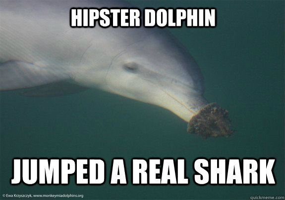 HIPSTER DOLPHIN JUMPED A REAL SHARK - HIPSTER DOLPHIN JUMPED A REAL SHARK  Hipster Dolphin