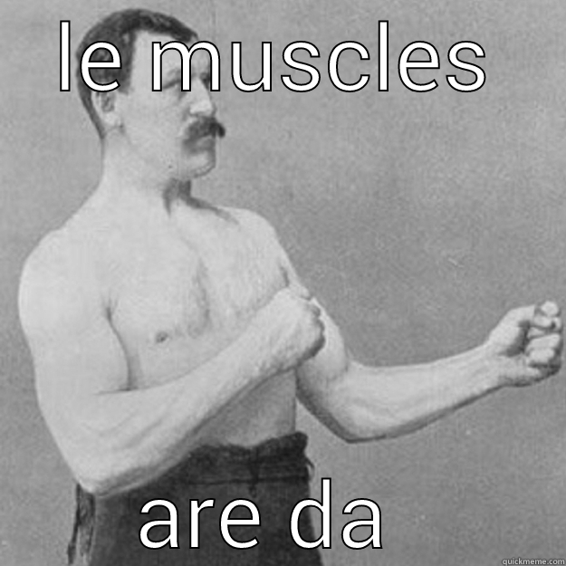 LE MUSCLES ARE DA BOMB overly manly man