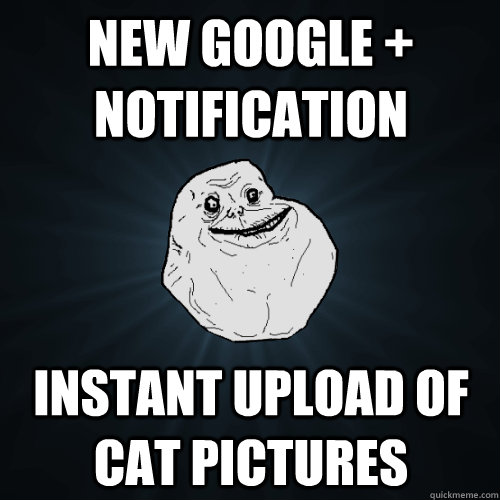 New Google + notification Instant upload of cat pictures  Forever Alone
