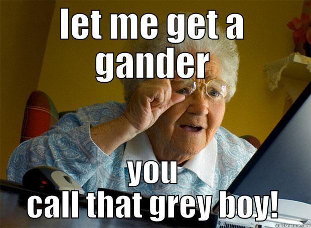 LET ME GET A GANDER YOU CALL THAT GREY BOY! Grandma finds the Internet