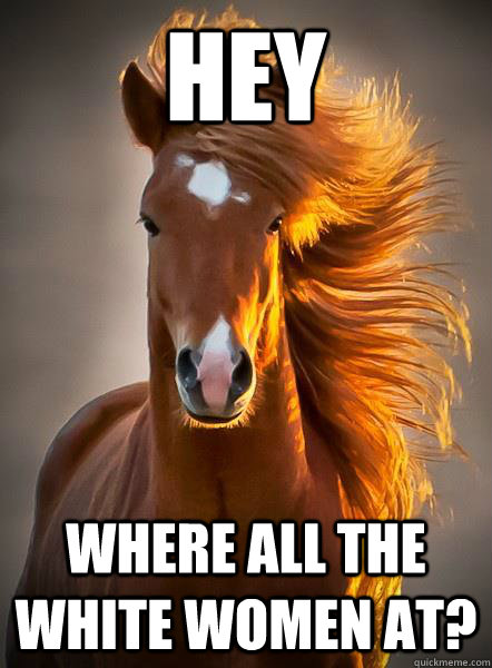 hey  where all the white women at?  Ridiculously Photogenic Horse