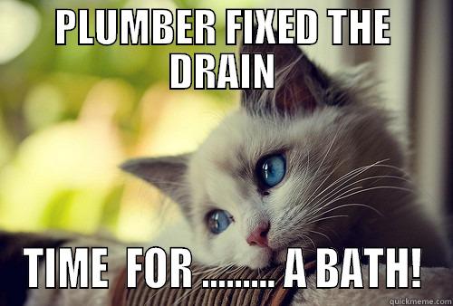 PLUMBER FIXED THE DRAIN TIME  FOR ......... A BATH! First World Problems Cat