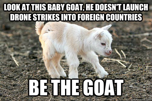 Look at this baby goat, he doesn't launch drone strikes into foreign countries BE THE GOAT - Look at this baby goat, he doesn't launch drone strikes into foreign countries BE THE GOAT  Innocent Goat