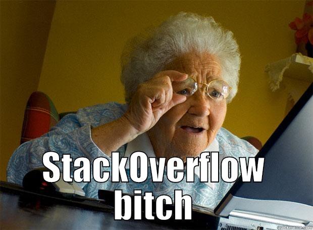  STACKOVERFLOW BITCH Grandma finds the Internet