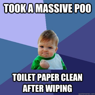 Took a massive poo toilet paper clean after wiping  Success Kid