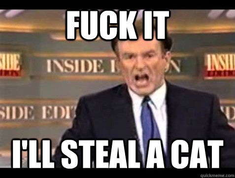 FUCK IT I'll steal a cat  Angry Bill