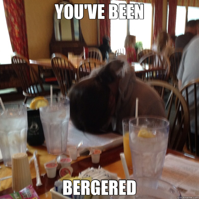 YOU'VE BEEN BERGERED - YOU'VE BEEN BERGERED  Berger 