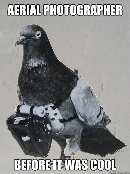 Aerial photographer Before it was cool - Aerial photographer Before it was cool  Hipster Pigeon