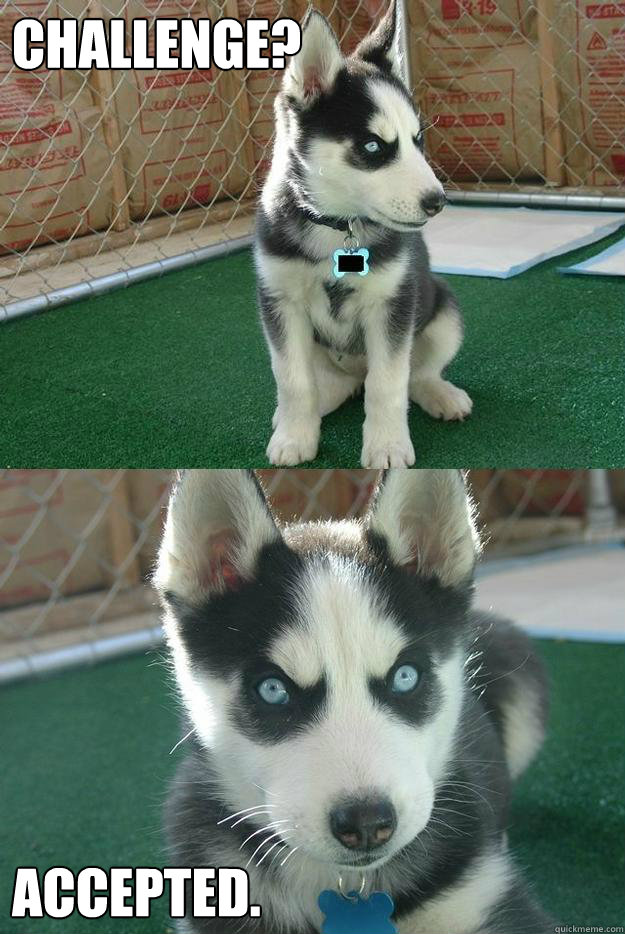 Challenge? Accepted.  Insanity puppy