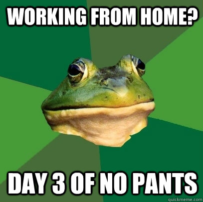 Working from home? Day 3 of no pants  Foul Bachelor Frog