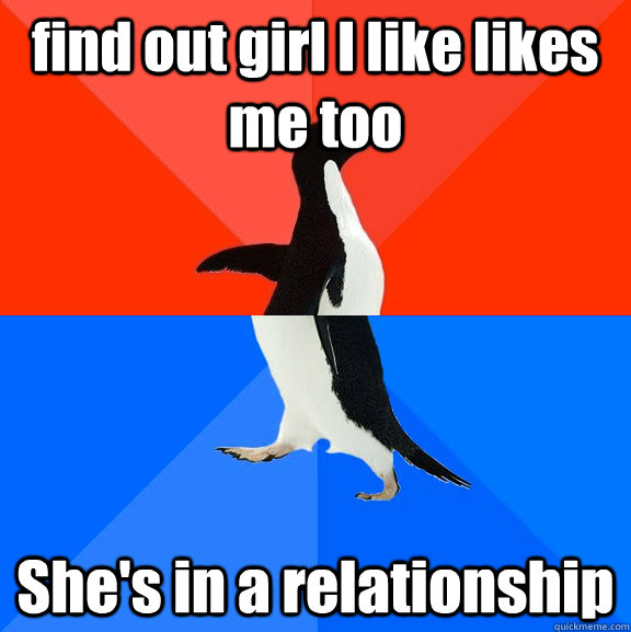 find out girl I like likes me too She's in a relationship  Socially Awesome Awkward Penguin
