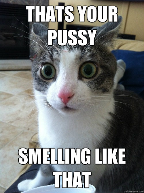 thats your pussy  smelling like that  Sudden Clarity Cat