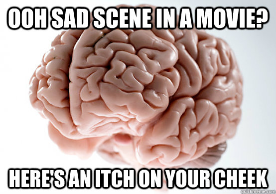 ooh Sad scene in a movie? Here's an itch on your cheek  Scumbag brain on life