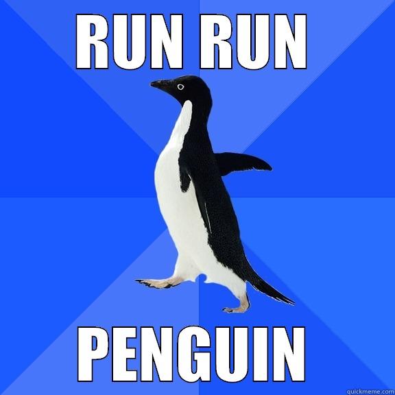 RUN RUN PENGUIN Socially Awkward Penguin