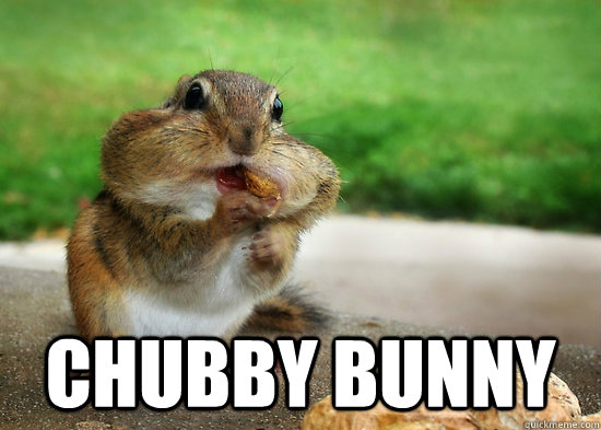  chubby bunny  Squirrel