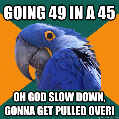 Going 49 in a 45 Oh god slow down, gonna get pulled over!  Paranoid Parrot