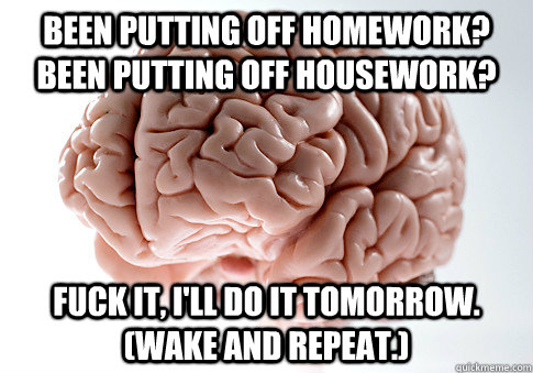 Been putting off homework? Been putting off housework?  Fuck it, I'll do it tomorrow. (wake and repeat.)   Scumbag Brain