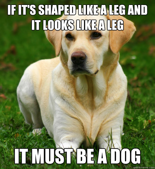 IF IT'S SHAPED LIKE A LEG AND IT LOOKS LIKE A LEG IT MUST BE A DOG  Dog Logic