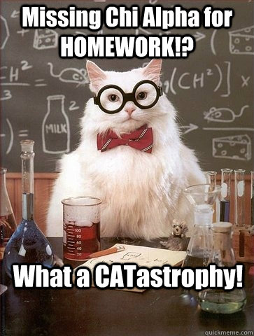 Missing Chi Alpha for HOMEWORK!? What a CATastrophy!  Chemistry Cat