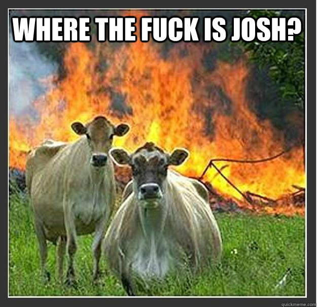 where the fuck is josh?   Evil cows