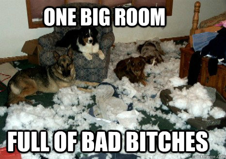 ONE BIG ROOM FULL OF BAD BITCHES - ONE BIG ROOM FULL OF BAD BITCHES  Bad bitches