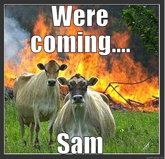 The cows, Sam - WERE COMING.... SAM Evil cows