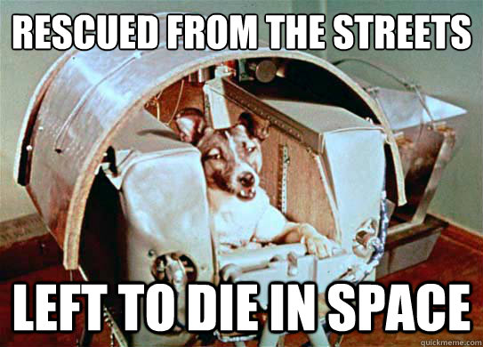 Rescued from the Streets Left to die in space - Rescued from the Streets Left to die in space  Bad Luck Laika