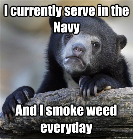 I currently serve in the Navy  And I smoke weed everyday - I currently serve in the Navy  And I smoke weed everyday  Confession Bear