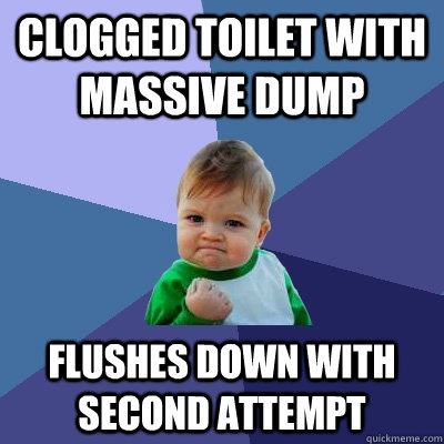 Clogged toilet with massive dump Flushes down with second attempt  Success Kid