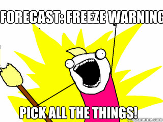 Forecast: Freeze warning tonight Pick all the things!  All The Things