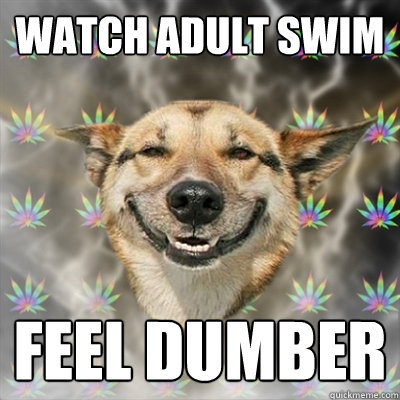 Watch adult swim feel dumber  Stoner Dog