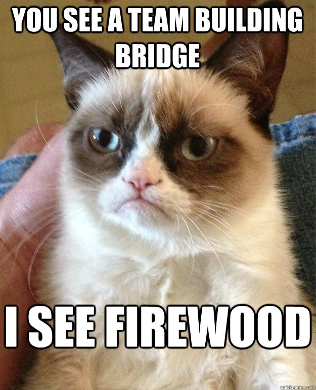 You see a team building bridge I see firewood  Grumpy Cat