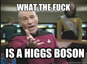 what the fuck Is a Higgs boson  Annoyed Picard