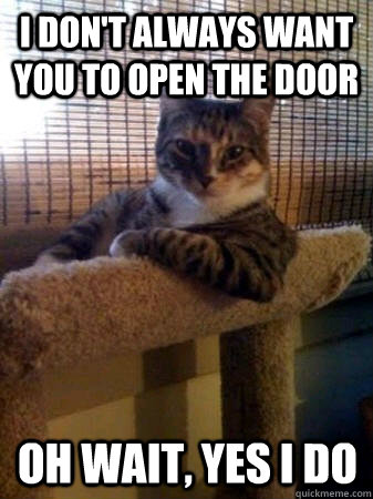 I don't always want you to open the door oh wait, yes i do  The Most Interesting Cat in the World