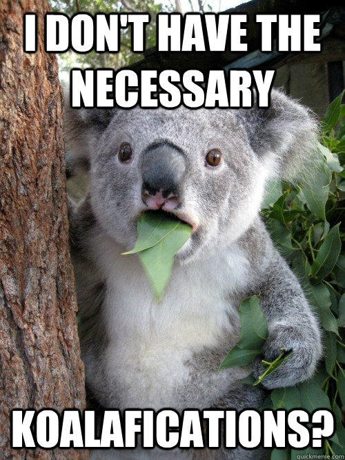 i don't have the necessary koalafications?  koala bear