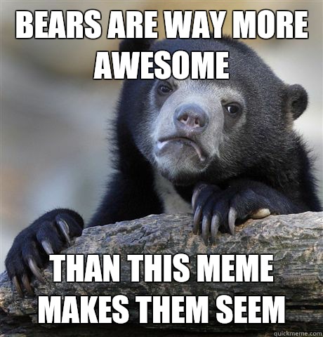 Bears are way more awesome Than this meme makes them seem  Confession Bear