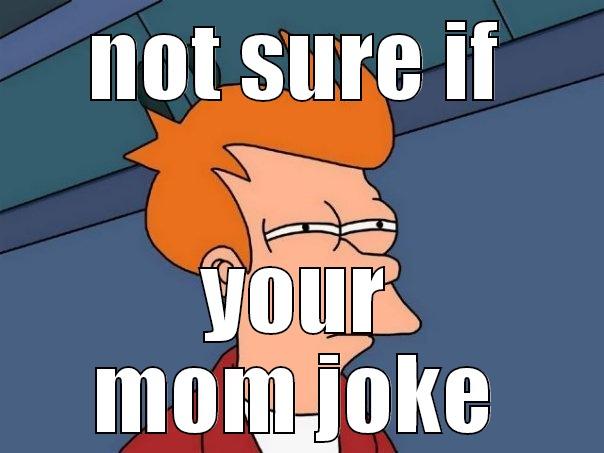 NOT SURE IF YOUR MOM JOKE Futurama Fry