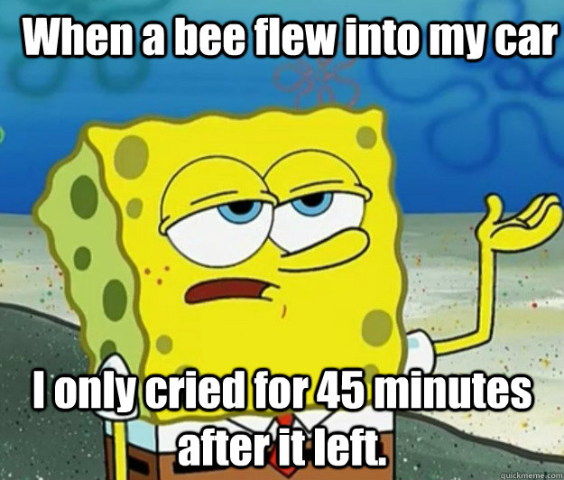 When a bee flew into my car I only cried for 45 minutes after it left. - When a bee flew into my car I only cried for 45 minutes after it left.  How tough am I