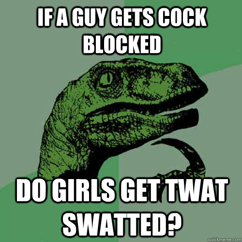 if a guy gets cock blocked do girls get twat swatted? - if a guy gets cock blocked do girls get twat swatted?  Philosoraptor