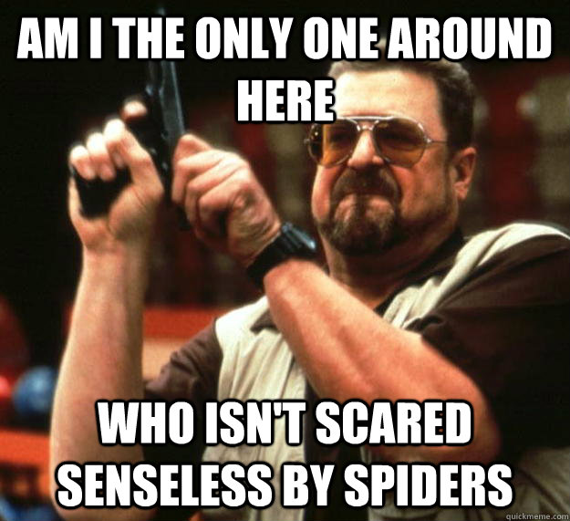 am I the only one around here who isn't scared senseless by spiders  Angry Walter