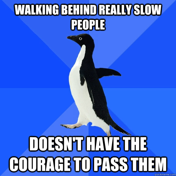 Walking behind really slow people Doesn't have the courage to pass them  Socially Awkward Penguin