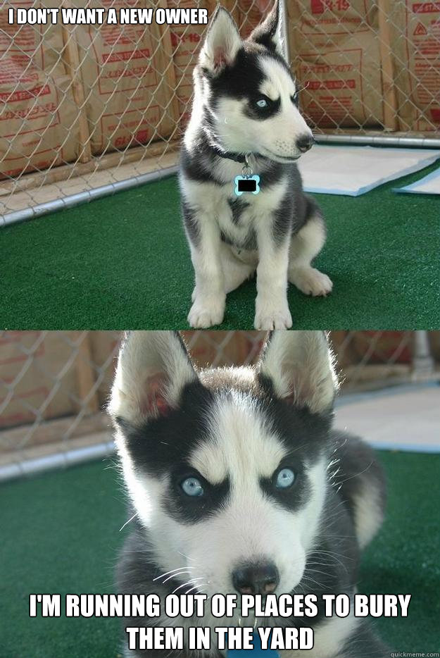 I don't want a new owner I'm running out of places to bury them in the yard  Insanity puppy