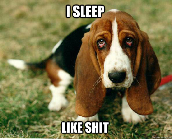 I sleep Like shit - I sleep Like shit  Basset Hound of guilt