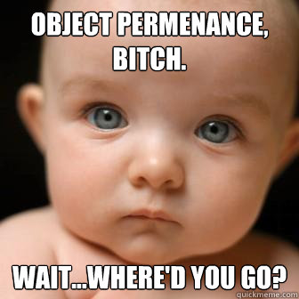 OBject permenance, bitch. wait...where'd you go?  Serious Baby