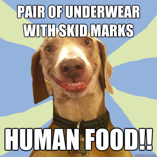 PAIR OF UNDERWEAR WITH SKID MARKS HUMAN FOOD!!  Disgusting Doggy