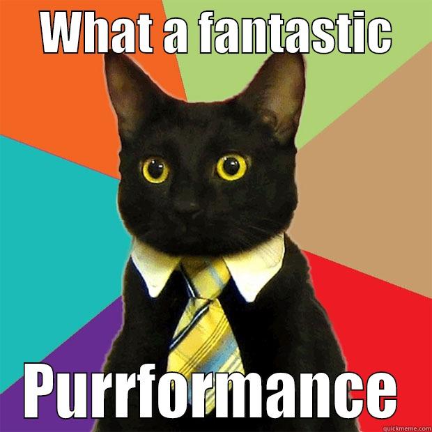     WHAT A FANTASTIC     PURRFORMANCE Business Cat
