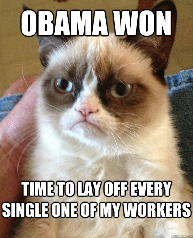 obama won time to lay off every single one of my workers  Grumpy Cat