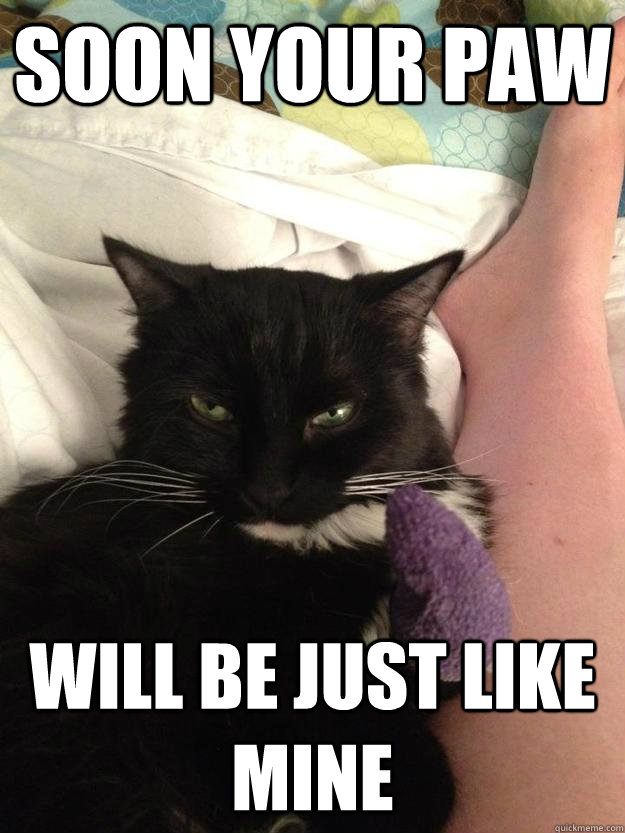 Plotting Injured Cat memes quickmeme